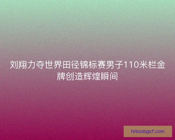 刘翔力夺世界田径锦标赛男子110米栏金牌创造辉煌瞬间
